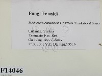 登錄號:F0014046藏品圖，第2張