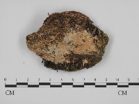 登錄號:F0014046藏品圖，第1張
