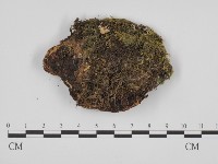 登錄號:F0014046藏品圖，第3張