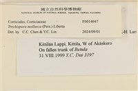 館號:F0014047藏品圖，第4張