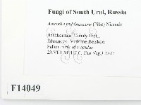 登錄號:F0014049藏品圖，第2張