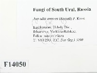 登錄號:F0014050藏品圖，第2張
