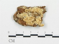 登錄號:F0014050藏品圖，第1張