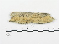 登錄號:F0014051藏品圖，第1張