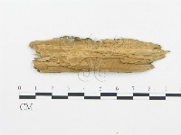 登錄號:F0014051藏品圖，第3張