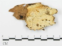 登錄號:F0014052藏品圖，第1張