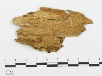 登錄號:F0014052藏品圖，第3張
