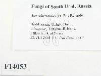 登錄號:F0014053藏品圖，第2張