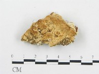 登錄號:F0014053藏品圖，第1張