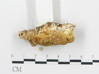 登錄號:F0014053藏品圖，第3張