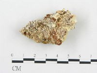 登錄號:F0014053藏品圖，第4張