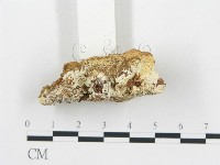 登錄號:F0014053藏品圖，第5張