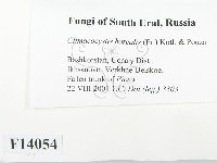 登錄號:F0014054藏品圖，第2張