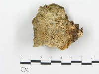 登錄號:F0014054藏品圖，第1張