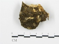 登錄號:F0014054藏品圖，第3張