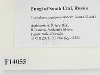 登錄號:F0014055藏品圖，第2張