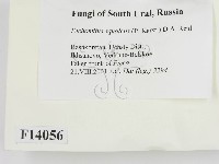 登錄號:F0014056藏品圖，第2張