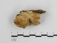 登錄號:F0014056藏品圖，第1張