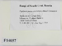 登錄號:F0014057藏品圖，第2張