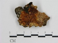 登錄號:F0014057藏品圖，第1張