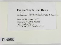 登錄號:F0014058藏品圖，第2張