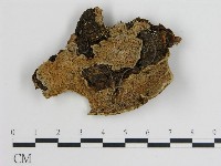 登錄號:F0014058藏品圖，第1張