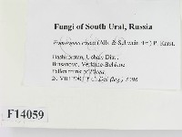 登錄號:F0014059藏品圖，第2張