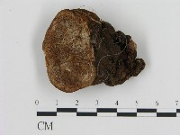 登錄號:F0014059藏品圖，第1張