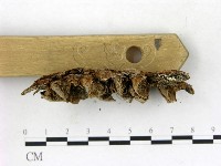 登錄號:F0014062藏品圖，第3張