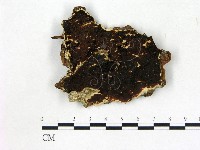 登錄號:F0014063藏品圖，第1張