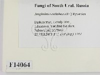 登錄號:F0014064藏品圖，第2張