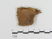 登錄號:F0014064藏品圖，第1張