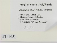 登錄號:F0014065藏品圖，第2張