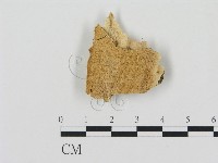 登錄號:F0014065藏品圖，第1張