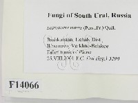 登錄號:F0014066藏品圖，第2張