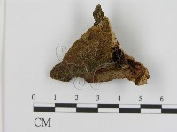 登錄號:F0014066藏品圖，第1張