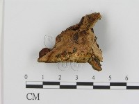 登錄號:F0014066藏品圖，第3張