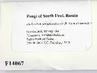 登錄號:F0014067藏品圖，第2張