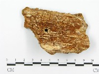 登錄號:F0014067藏品圖，第3張