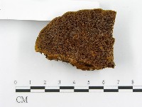 登錄號:F0014068藏品圖，第4張