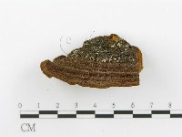 登錄號:F0014068藏品圖，第5張