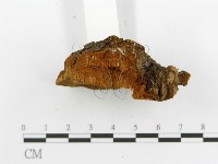 登錄號:F0014068藏品圖，第6張