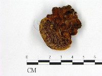 登錄號:F0014069藏品圖，第1張