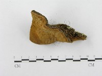 登錄號:F0014070藏品圖，第4張