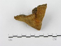 登錄號:F0014070藏品圖，第5張