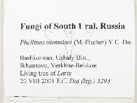 登錄號:F0014071藏品圖，第2張
