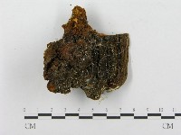 登錄號:F0014071藏品圖，第1張