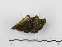 登錄號:F0014071藏品圖，第3張