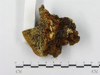 登錄號:F0014071藏品圖，第4張