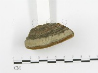 登錄號:F0014072藏品圖，第4張
